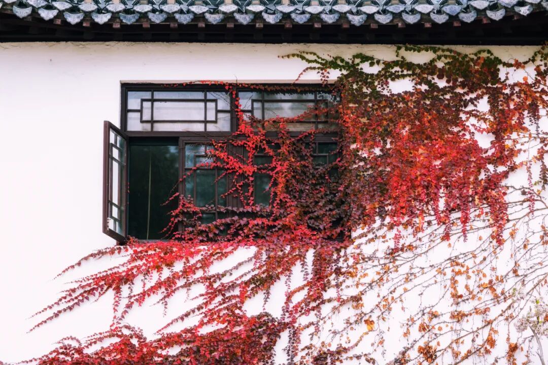 be77c66db4a800464650421e64c8d97d.jpeg be77c66db4a800464650421e64c8d97d.jpeg