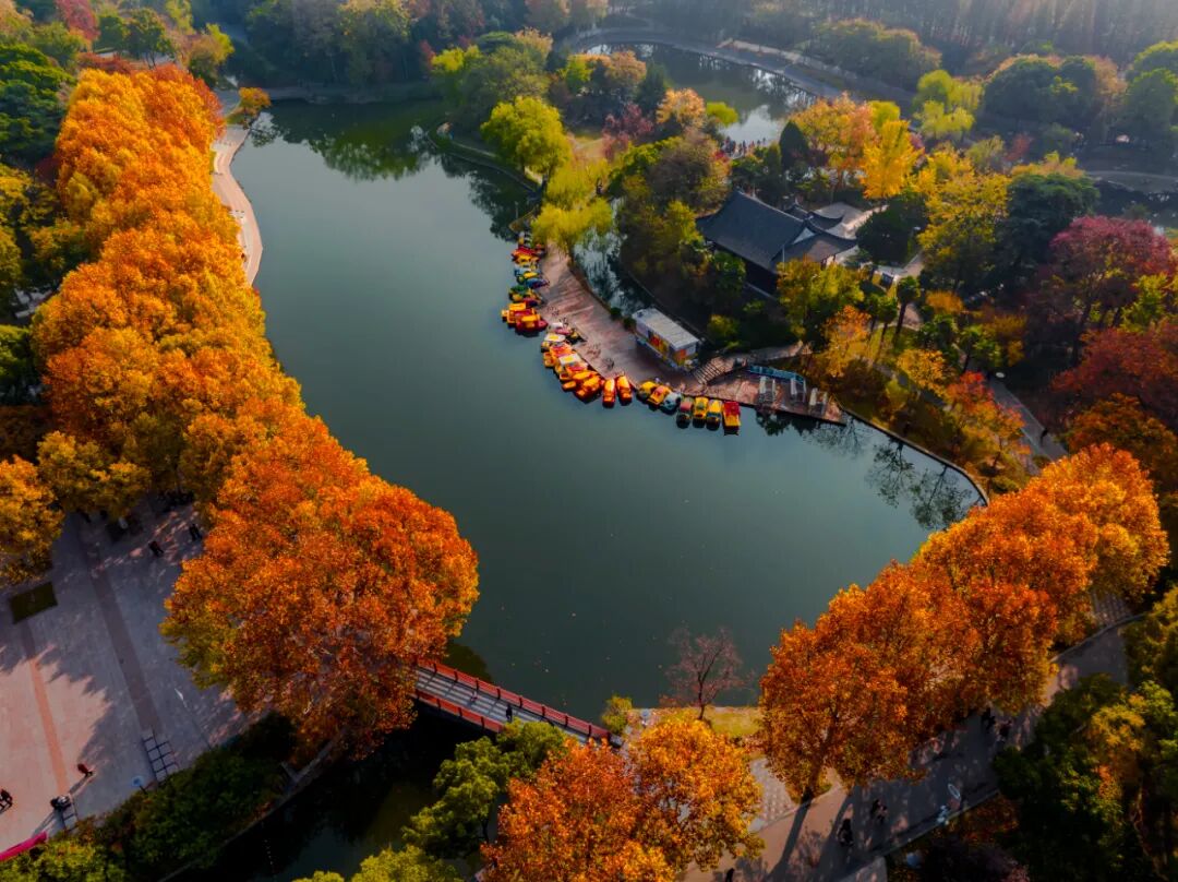 f2634a73c4ff737d41569f02307ba7ce.jpeg f2634a73c4ff737d41569f02307ba7ce.jpeg