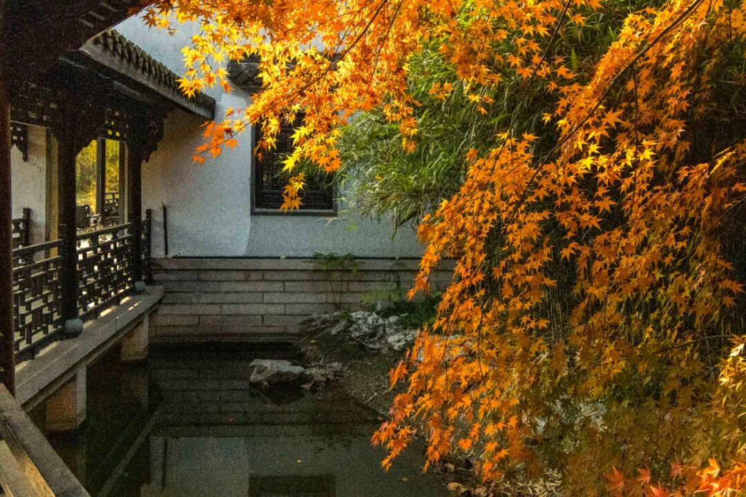 f5e5c90970f41ef06ffdb3dcc0604520.jpeg f5e5c90970f41ef06ffdb3dcc0604520.jpeg