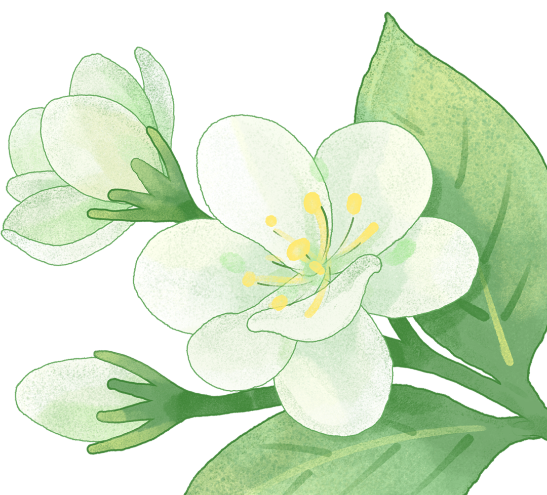 537af5856f64dd28a94c003a59f6ca50.png