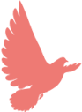 3596fb860a0b676a5f31e5d2eb83f89e.png