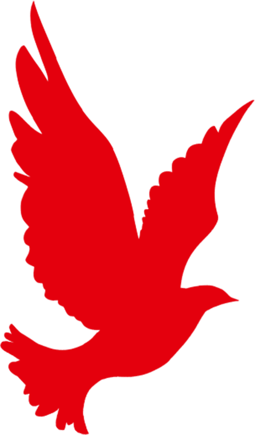ee89b32177455e3d6e1657ba96b29606.png
