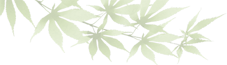 a8672b8e17c4ddff28ae96cc5aebf14b.png