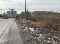 离了大普！泰州居然还有这么大一片的野生垃圾填埋场