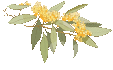 095527oxrc3u5lrjlvcrvc.gif