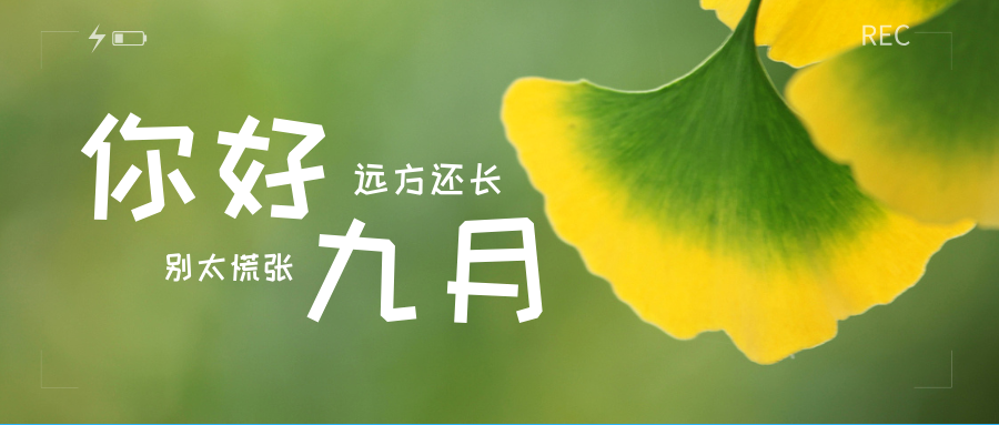 094910ujjn40zgqdgvn5qj.png