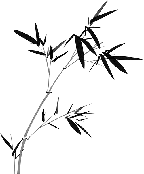 105256x3xj8hqjqnx7s72o.png