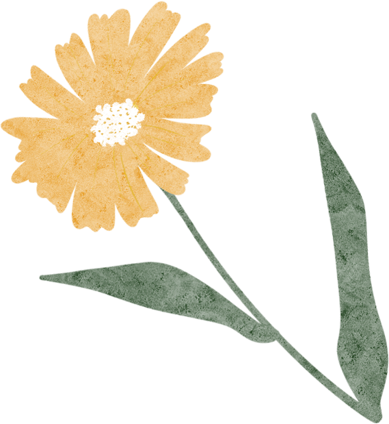 102448ne777ii446e2x1zv.png
