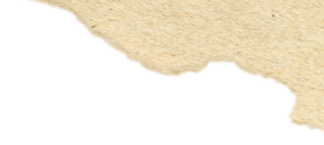 ecd358610c6099d9259b803bfea2dc47.png